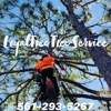 Loyal Tree Tree Service gallery