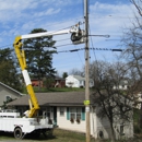 Pro Tree Service - Arborists