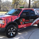 Allstar Wildlife - Pest Control Services