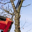 Turuy Landscaping Services Corp - Tree Service