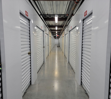 Storage Sense - Lexington KY - Ruccio - Lexington, KY