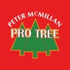 Peter McMillan Pro Tree gallery