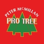 Peter McMillan Pro Tree