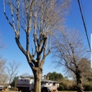 Dalton's Tree Service - Tree Service