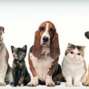 Pet Food, Holistic Pet Food Las Vegas - Pet Services