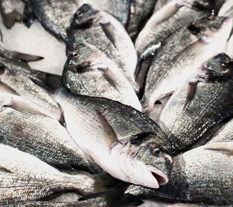 Urangan Fisheries - Urangan, QLD
