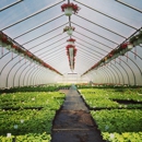 Gasko's Family Farms - Nurseries-Plants & Trees