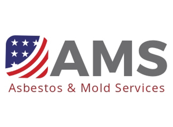 Asbestos and Mold Services Corp. - Hainesport, NJ