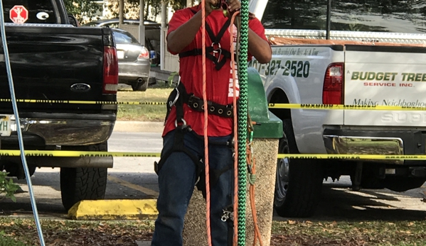 KDT Tree Service - Fern Park, FL