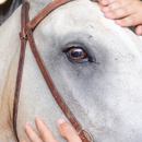 Silver Bit & Spur Farm - Farms