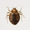 Standard Exterminating Company Inc gallery