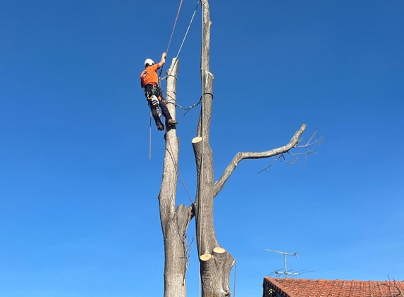 Harringtons Tree Services - Mount Evelyn, VIC