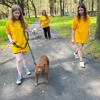 Yella Dawg Farms gallery