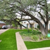 Waterloo Turf Sarasota Artificial Grass gallery