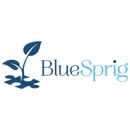 BlueSprig - Mental Health Services