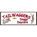 TailWaggers Doggy Daycare - Pet Boarding & Kennels