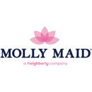 Molly Maid of Fayetteville and Fort Liberty - Building Cleaning-Exterior