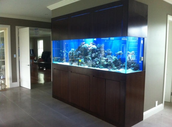 Angelfish Aquariums - Carlingford, NSW