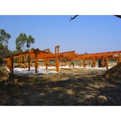 Gallery Image Number 7
