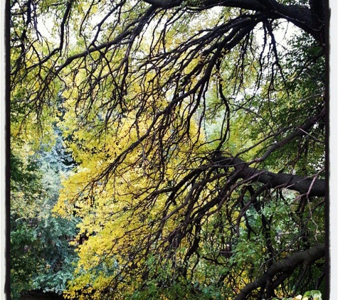 Jackson Park - Chicago, IL