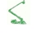 Hamilton's Tree Service - Tree & Stump Removal Services