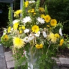 Flower Bar gallery
