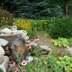 Bory Landscaping Inc