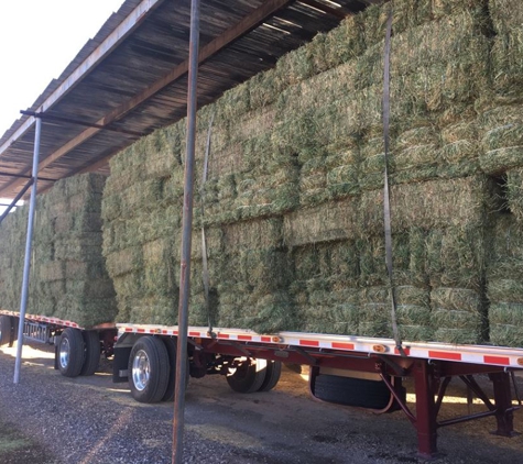 UVX Hay Sales, LLC. - Cottonwood, AZ