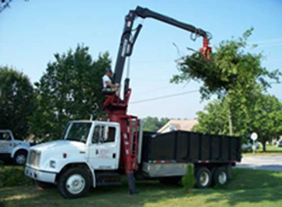 Linander's Tree Service - Phenix City, AL