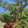 Tree Care America gallery