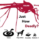 Cloverwall - Pest Control Services