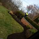 R & R TREE AND LANDSCAPING - Landscaping & Lawn Services