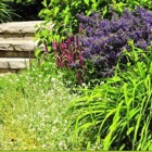 Hunt's Lawn Maintenance & Landscaping