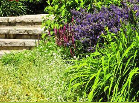 Hunt's Lawn Maintenance & Landscaping - Archdale, NC