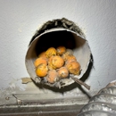 HomeSmiles Lubbock - Property Maintenance