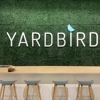 Yardbird gallery