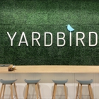 Yardbird