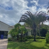 Four Brothers Tree Company, Inc. gallery
