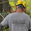 Tree Tech Tree Services Inc. gallery