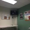 Igt gallery