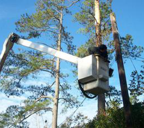 Ken's Tree Company,Inc. - Wilmington, NC