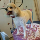 The Fluffy Puppy - Dog & Cat Grooming & Supplies