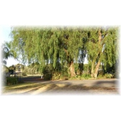 Gallery Image Number 2