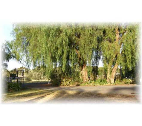 Petherton Park Kennels - Macdonald Park, SA