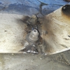 C&J Welding & Fabrication/Mobile Welding gallery