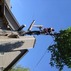 Branch Busters Tree Service