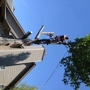 Branch Busters Tree Service