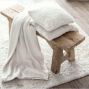 The Cleaning Authority - Carpet & Rug Cleaning Equipment & Supplies