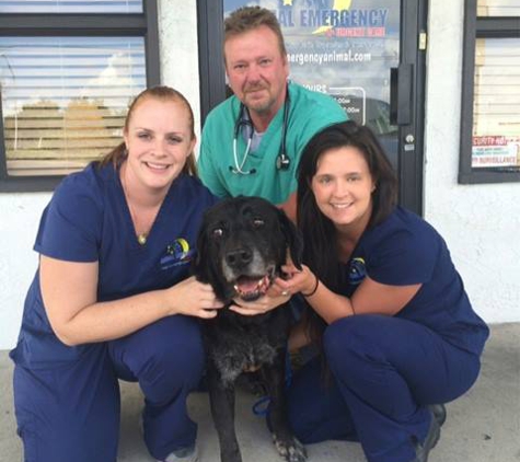 Animal Emergency & Urgent Care - Palm Harbor, FL