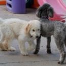 Hillside Canine - Pet Boarding & Kennels